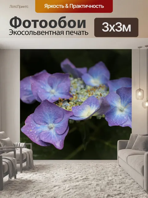 Фотообои Расцветает