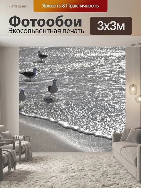 Фотообои Четыре чайки в море