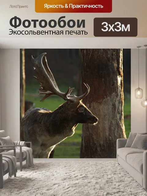 Фотообои Лань олень косуля