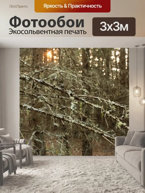Фотообои Глубокий темный лес Отрасли