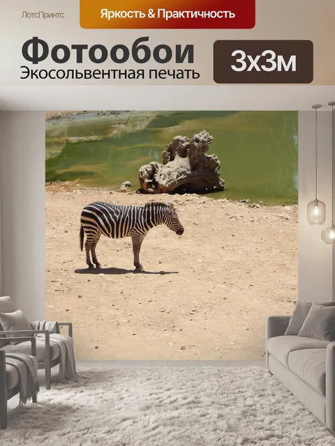 Фотообои Зебра