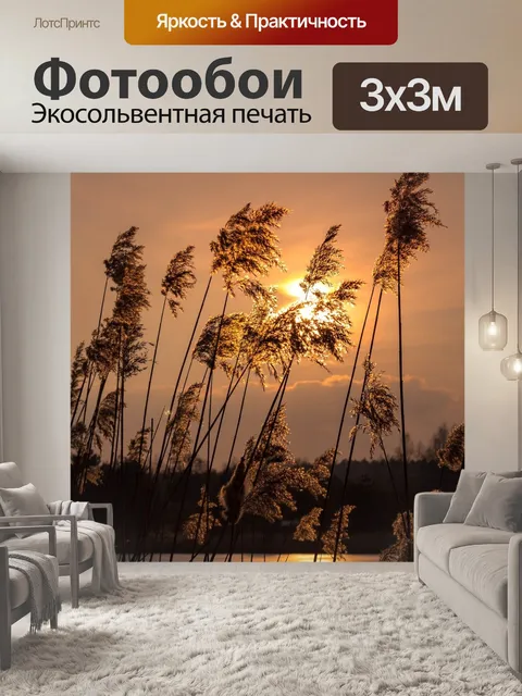 Фотообои Закат