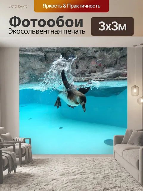 Фотообои Пингвин