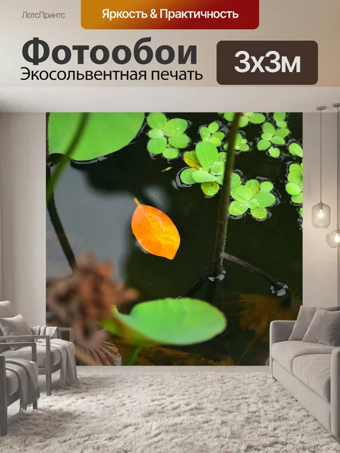 Фотообои Листья