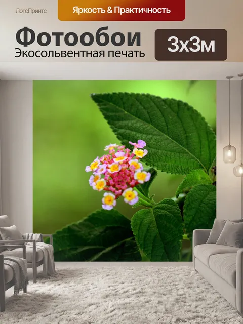 Фотообои розовый фон цветы