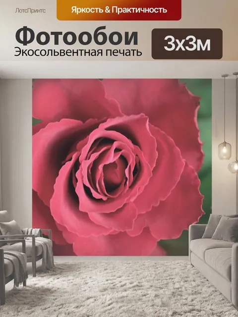 Фотообои Роза цветок цвести розовый