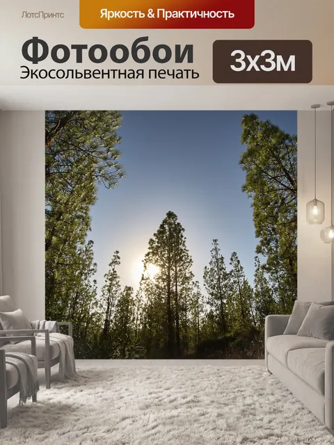 Фотообои Лес