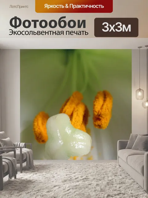 Фотообои Лилли