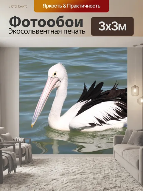 Фотообои одиночные пеликан на море