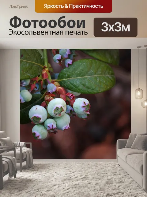 Фотообои Созревающая черника и зеленые листья