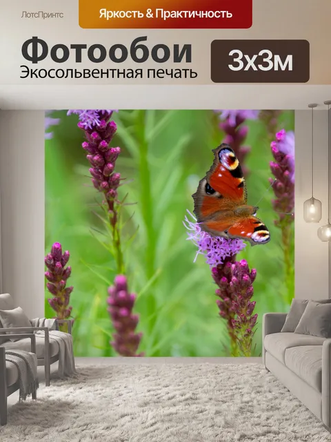 Фотообои Бабочка павлина