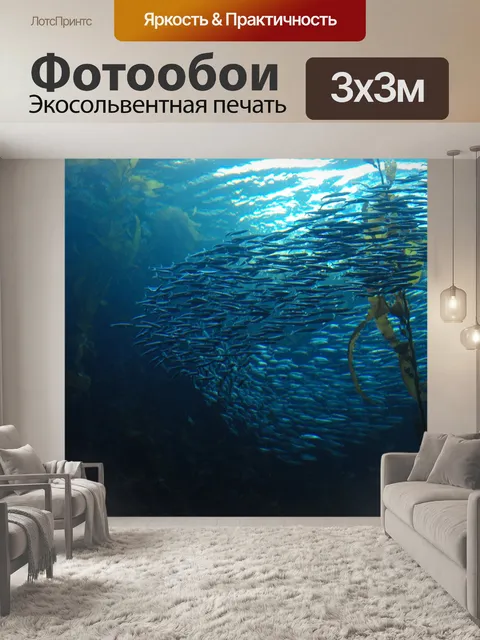 Фотообои Рыбы