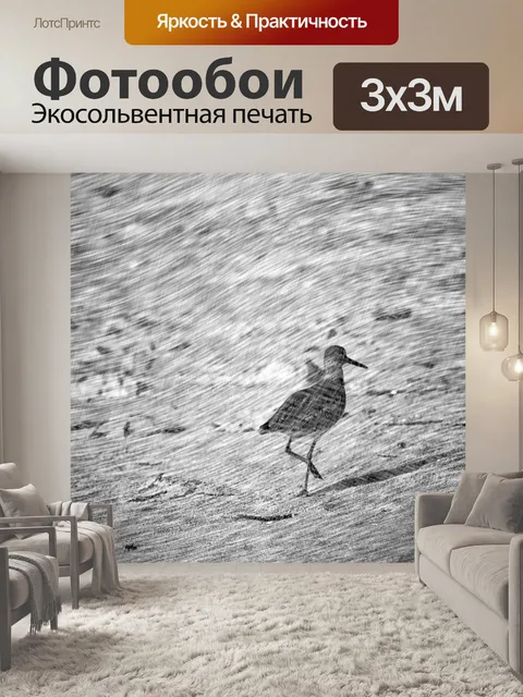 Фотообои Эскиз птиц