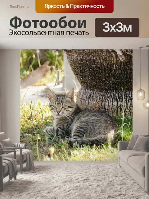 Фотообои Кошка