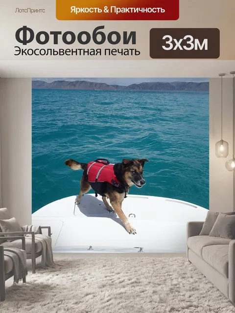 Фотообои Собака