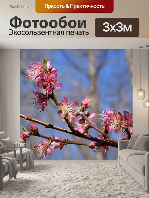 Фотообои Цветы персика