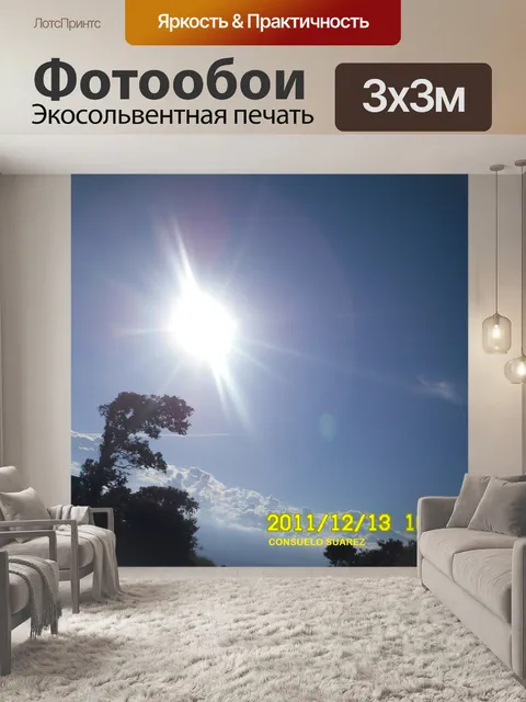 Фотообои Фантастический ВС