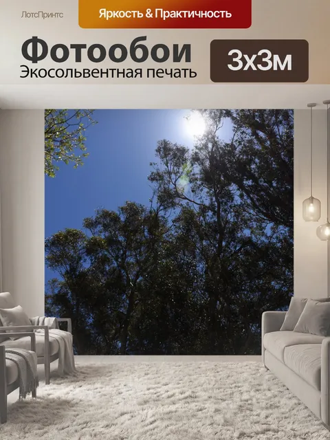 Фотообои Солнце сквозь дерево