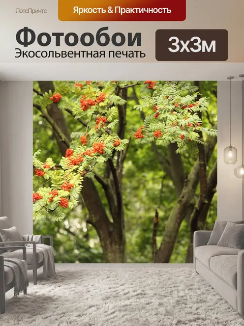 Фотообои Гроздья рябины