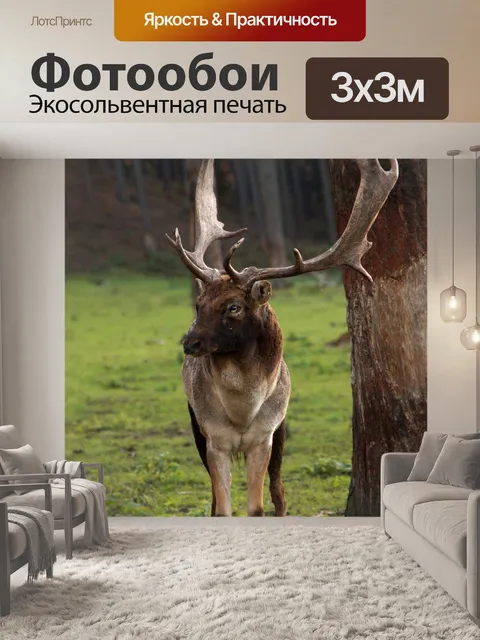 Фотообои Лань олень косуля