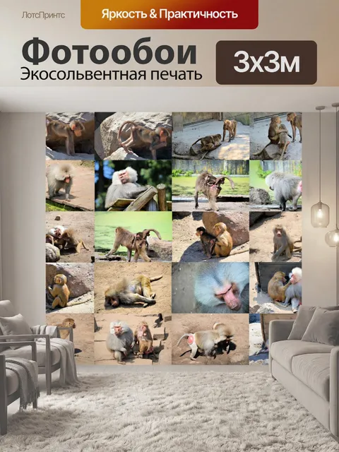 Фотообои Бабуин коллаж 1