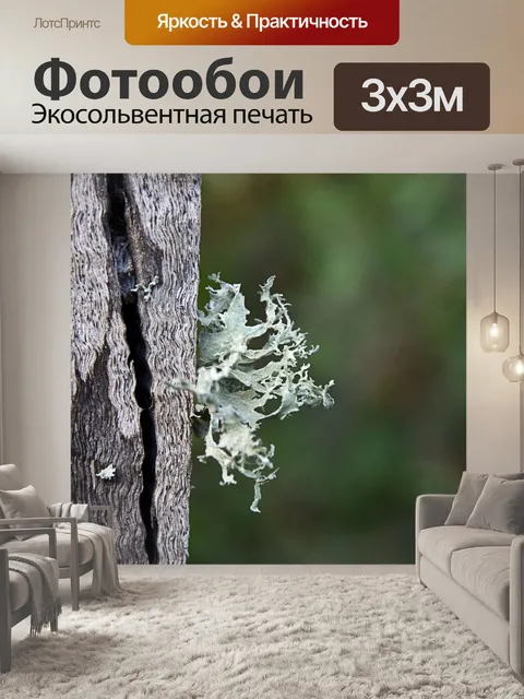 Фотообои Лишайник на мертвой ограде