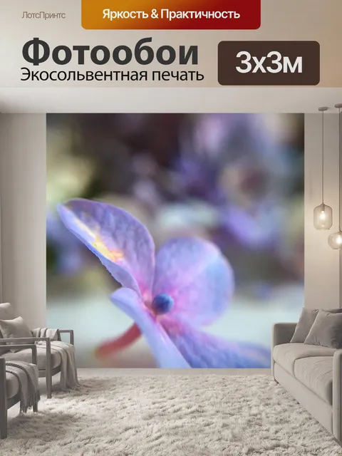 Фотообои Гортензия