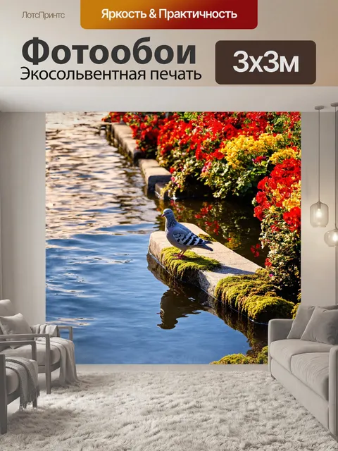Фотообои серый голубь, сидящий на краю каменного фонтана, внимательно смотрит на свое отражение в воде