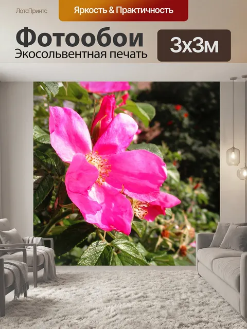 Фотообои Цветы