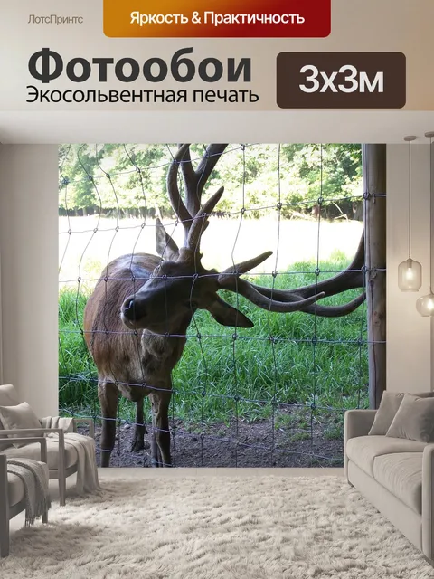 Фотообои Олень