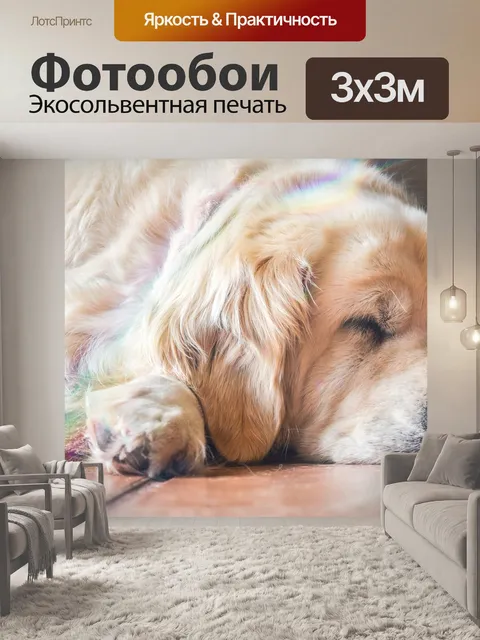 Фотообои Собака