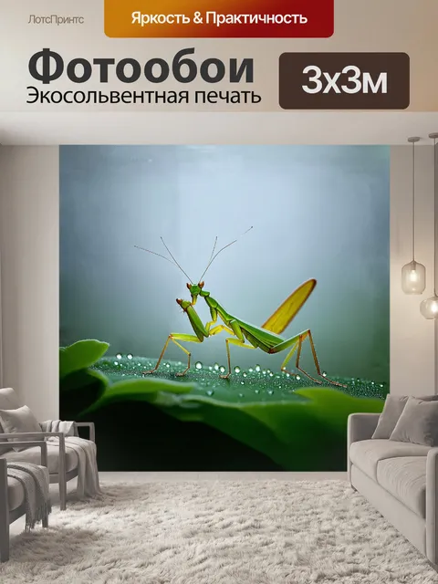 Фотообои в туманном рассвете, богомол, окутанный росой, терпеливо ждет свою добычу, его колючие ноги готовы к прыжку…