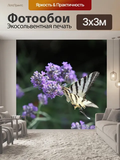 Фотообои Лаванда