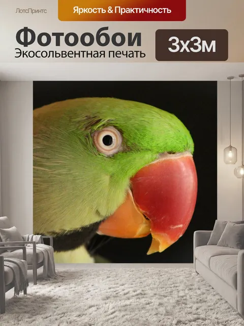 Фотообои Попугай