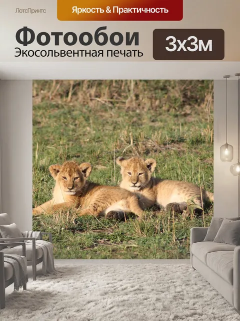 Фотообои Львята