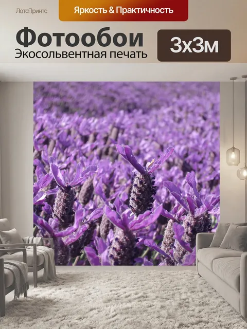 Фотообои Лаванда
