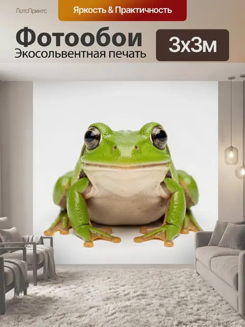Фотообои Зелёная лягушка крупным планом