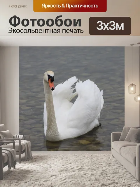 Фотообои Лебедь