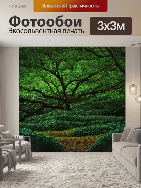 Фотообои таинственный лес, где ветви деревьев переплетаются, и зелёные листья создают густую тень на земле