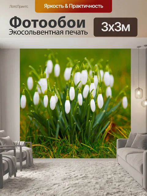 Фотообои Подснежники