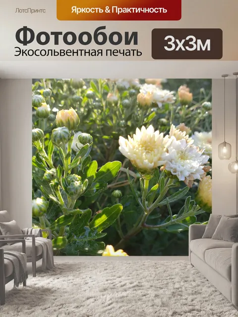 Фотообои Желтые хризантемы и бутоны