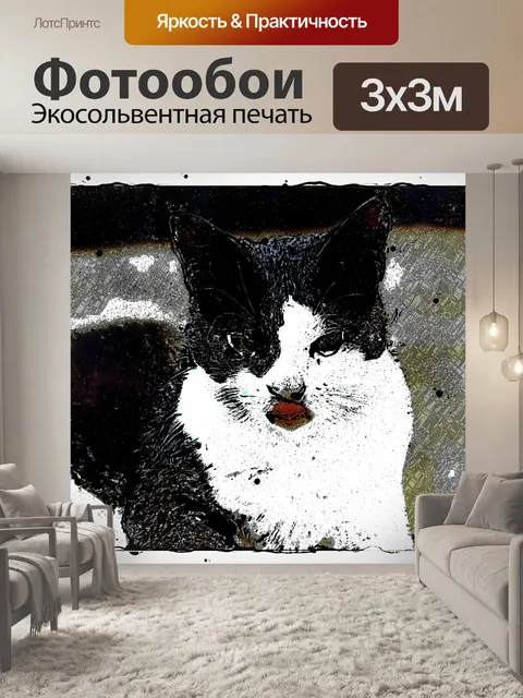 Фотообои Черно-белая кошка рисунок