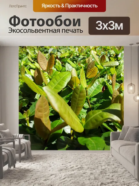 Фотообои зеленые листья обои
