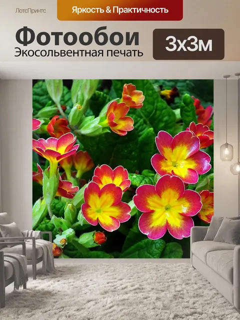 Фотообои Первоцветы