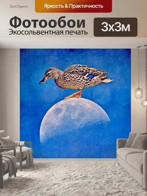 Фотообои Смешные