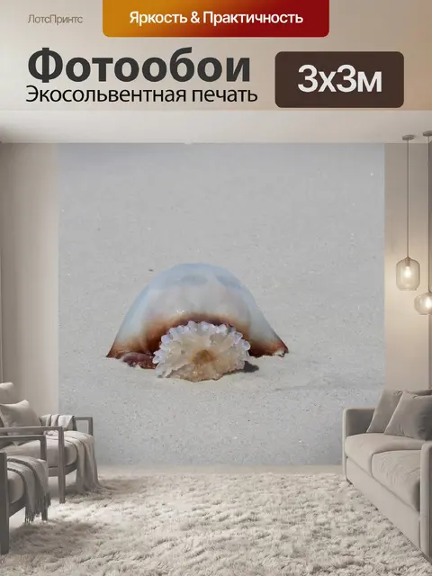 Фотообои Beached Медузы