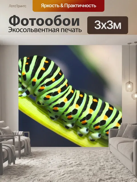 Фотообои Гусеница