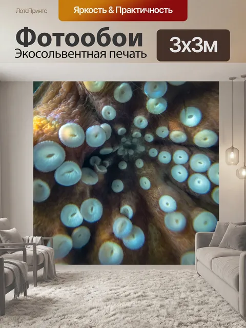 Фотообои Осьминог