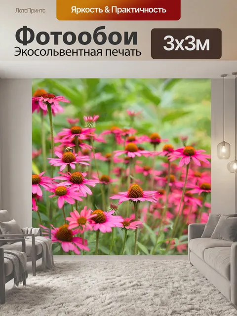 Фотообои Ромашки