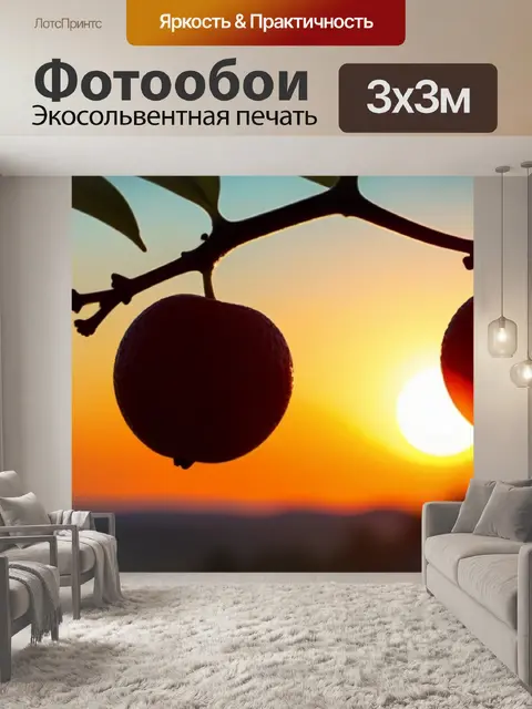 Фотообои фрукты на фоне яркого заката